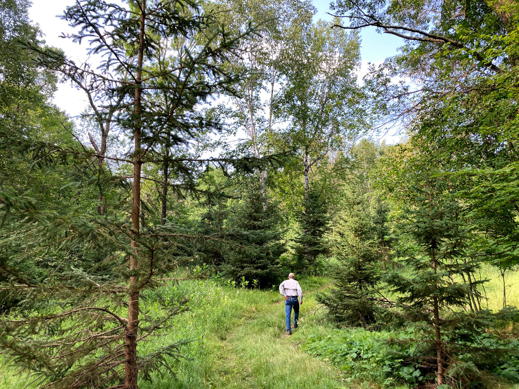 Landowner walks onto managed forestland.